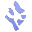 Primary Path